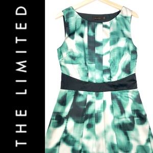 The Limited Green and Black Women's Dress